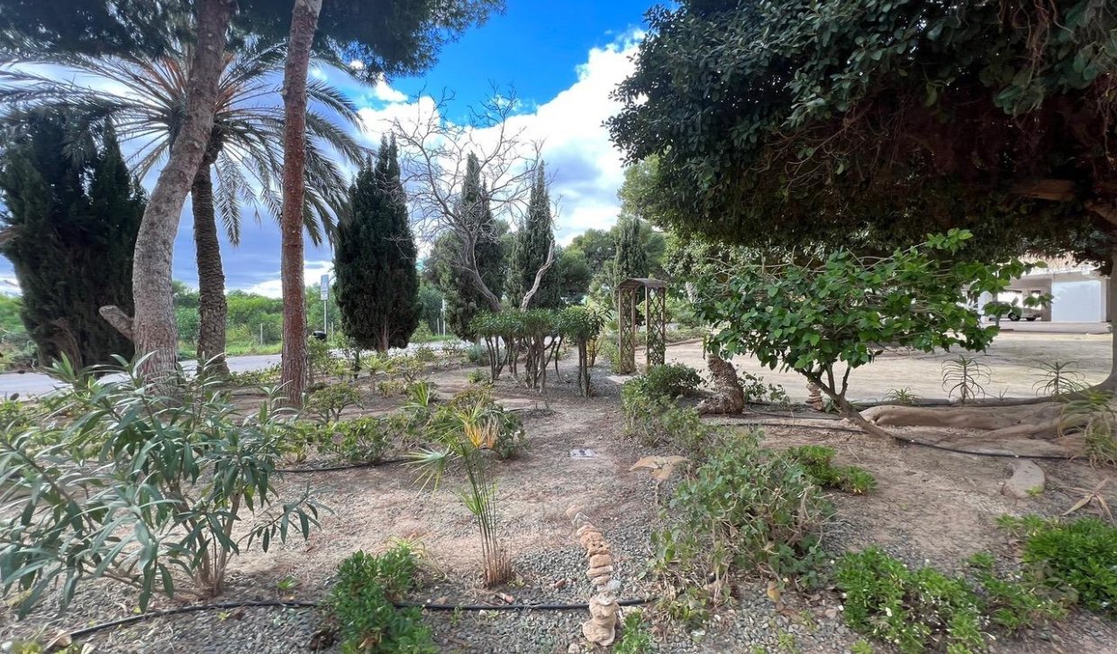 Alquiler - Apartamento  - Orihuela Costa - Punta Prima