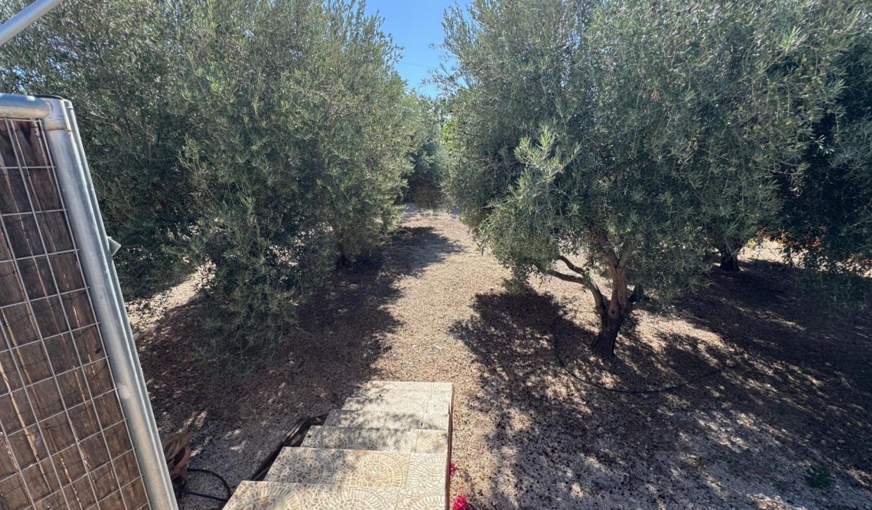 Revente - Casa de campo - Albatera