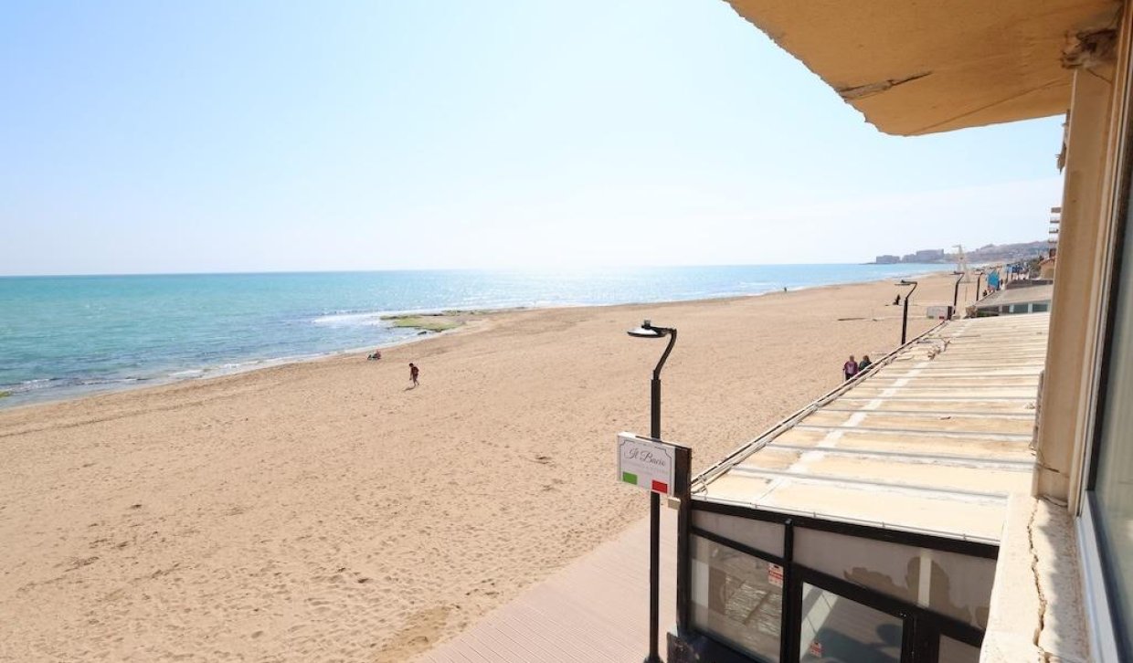 Location - Appartement - Torrevieja - La Mata pueblo