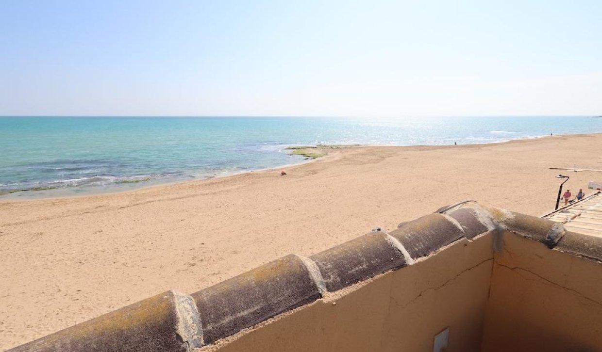 Location - Appartement - Torrevieja - La Mata pueblo