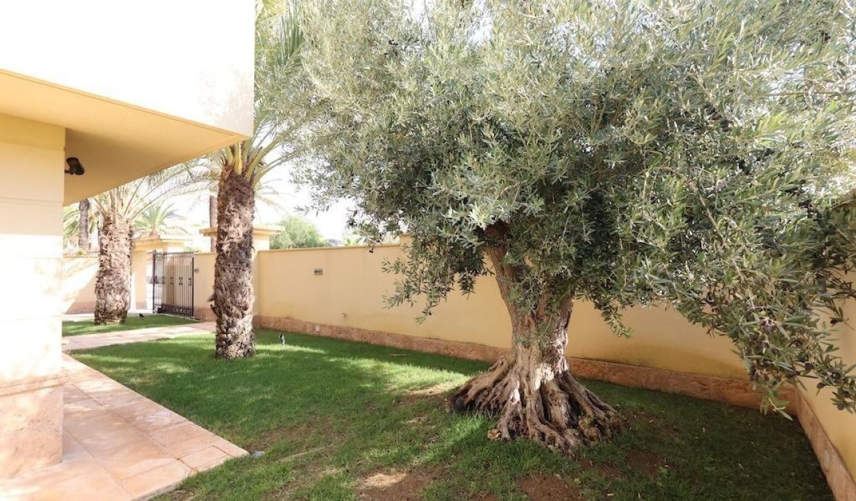 Alquiler - Chalet - Cabo Roig - Costa blanca