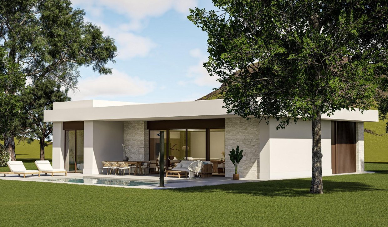 Nouvelle construction - Villa - Pinoso - Lel