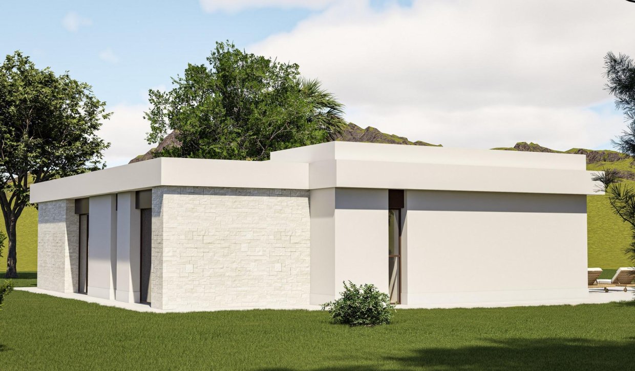 Nouvelle construction - Villa - Pinoso - Lel