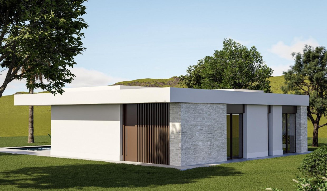 Nouvelle construction - Villa - Pinoso - Lel