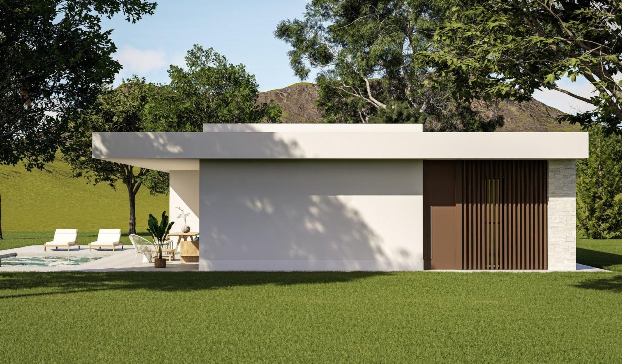 Nouvelle construction - Villa - Pinoso - Lel