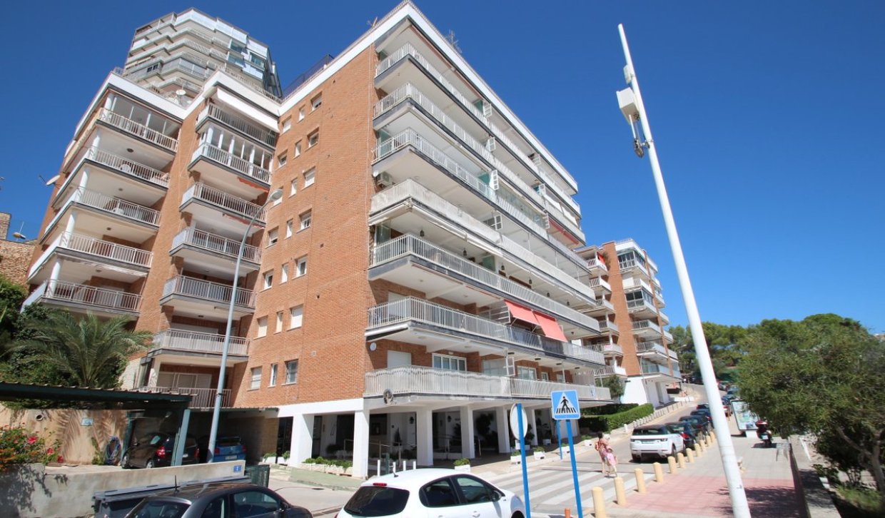 Alquiler a largo plazo - Apartamento - Orihuela Costa - Campoamor