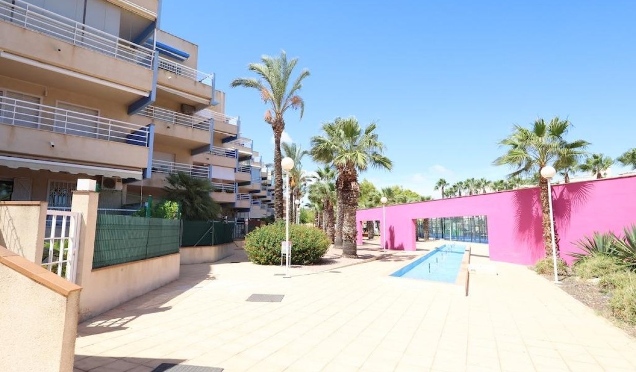 Location - Appartement - Cabo Roig - Aguamarina
