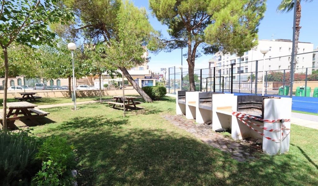 Location - Appartement - Cabo Roig - Aguamarina
