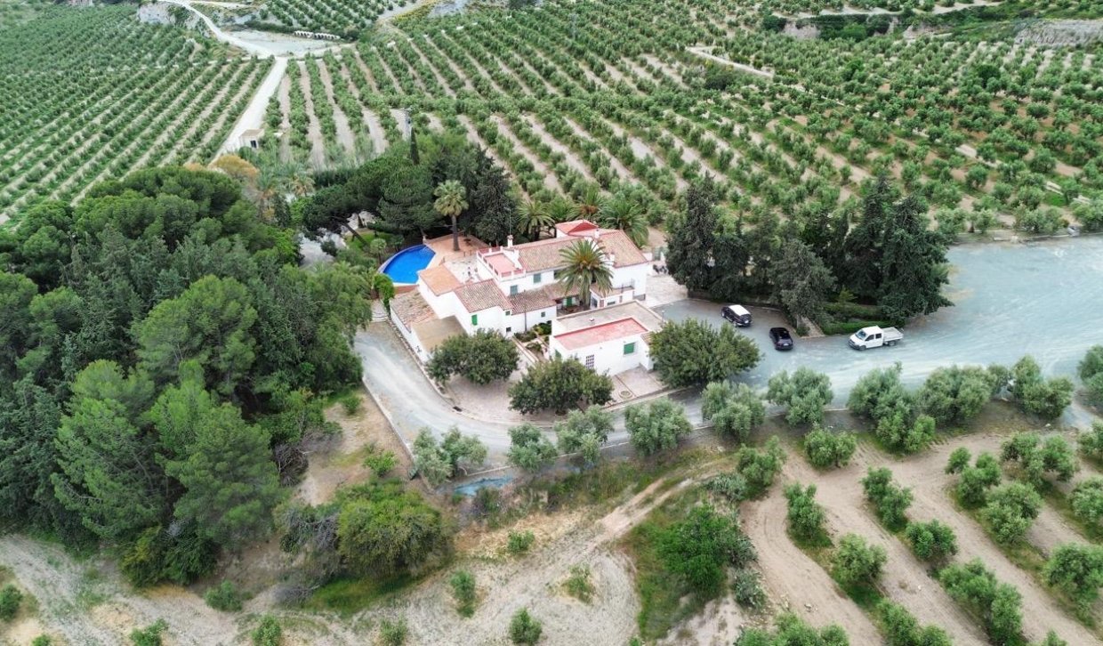 Resale - Olivar - Puerto Lumbreras - Nogalte