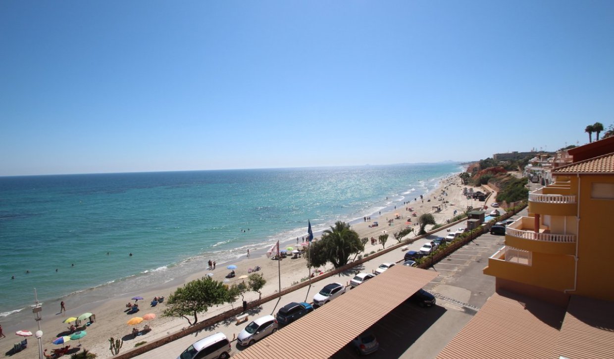 Location - Appartement - Orihuela Costa - Campoamor