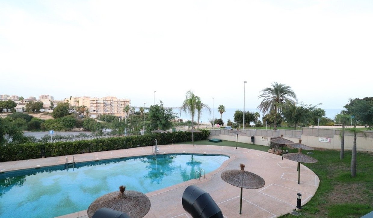 Location - Appartement - Pilar de la Horadada - Mil Palmeras
