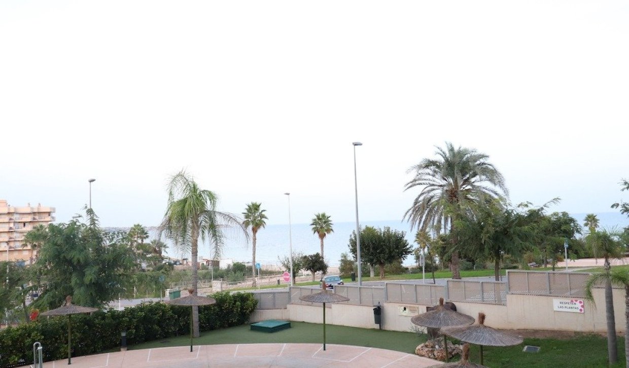 Location - Appartement - Pilar de la Horadada - Mil Palmeras