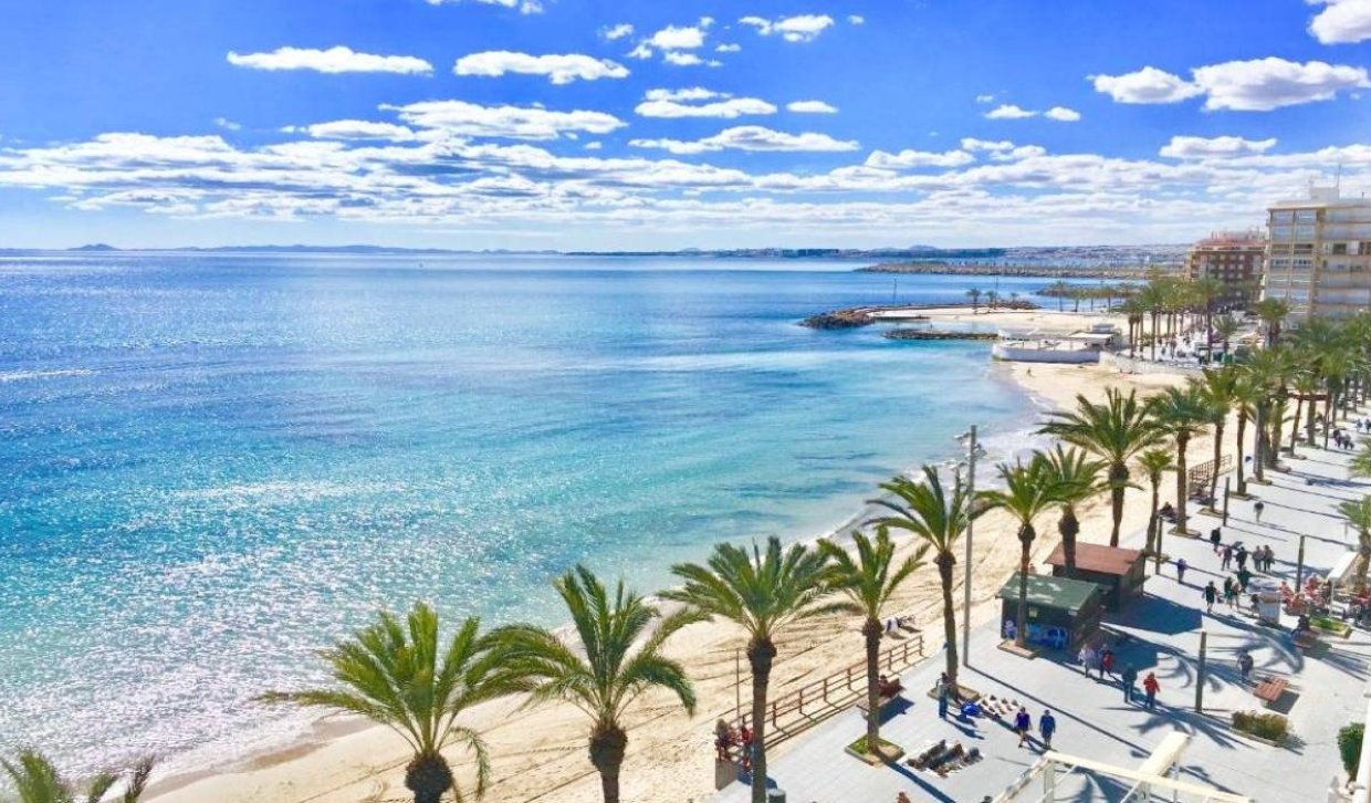 Nowy budynek - Villa - Torrevieja - Lago Jardín II