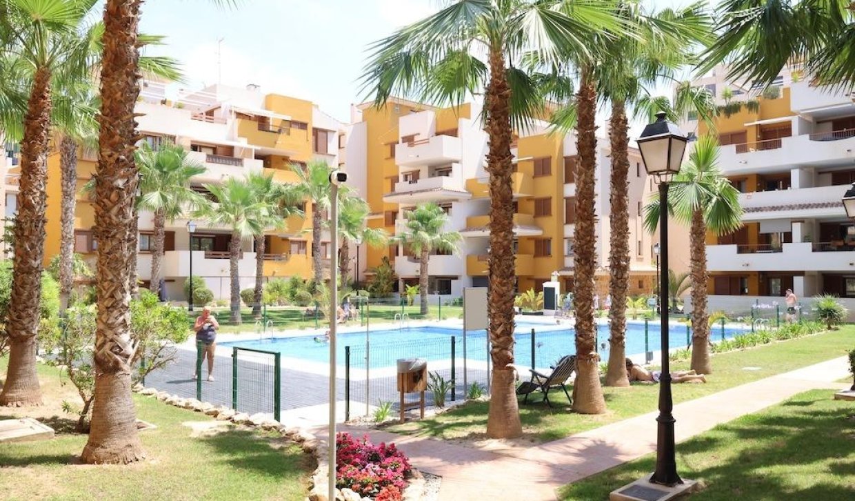 Location - Appartement - Torrevieja - Punta prima