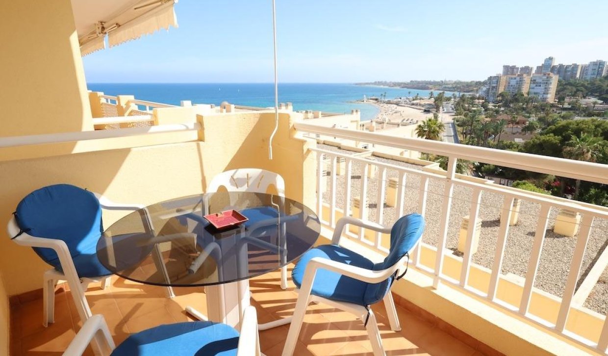 Wynajem długoterminowy - Mieszkanie w bloku - Orihuela Costa - Campoamor