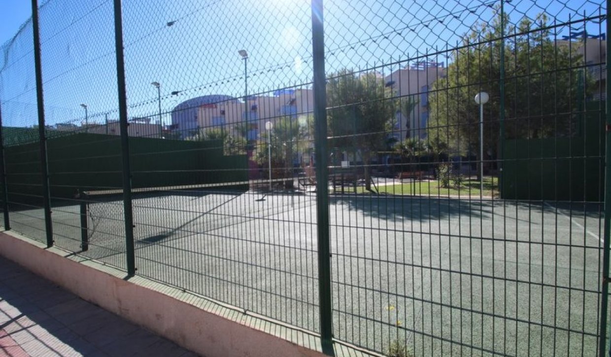 Location - Appartement - Orihuela Costa - Campoamor