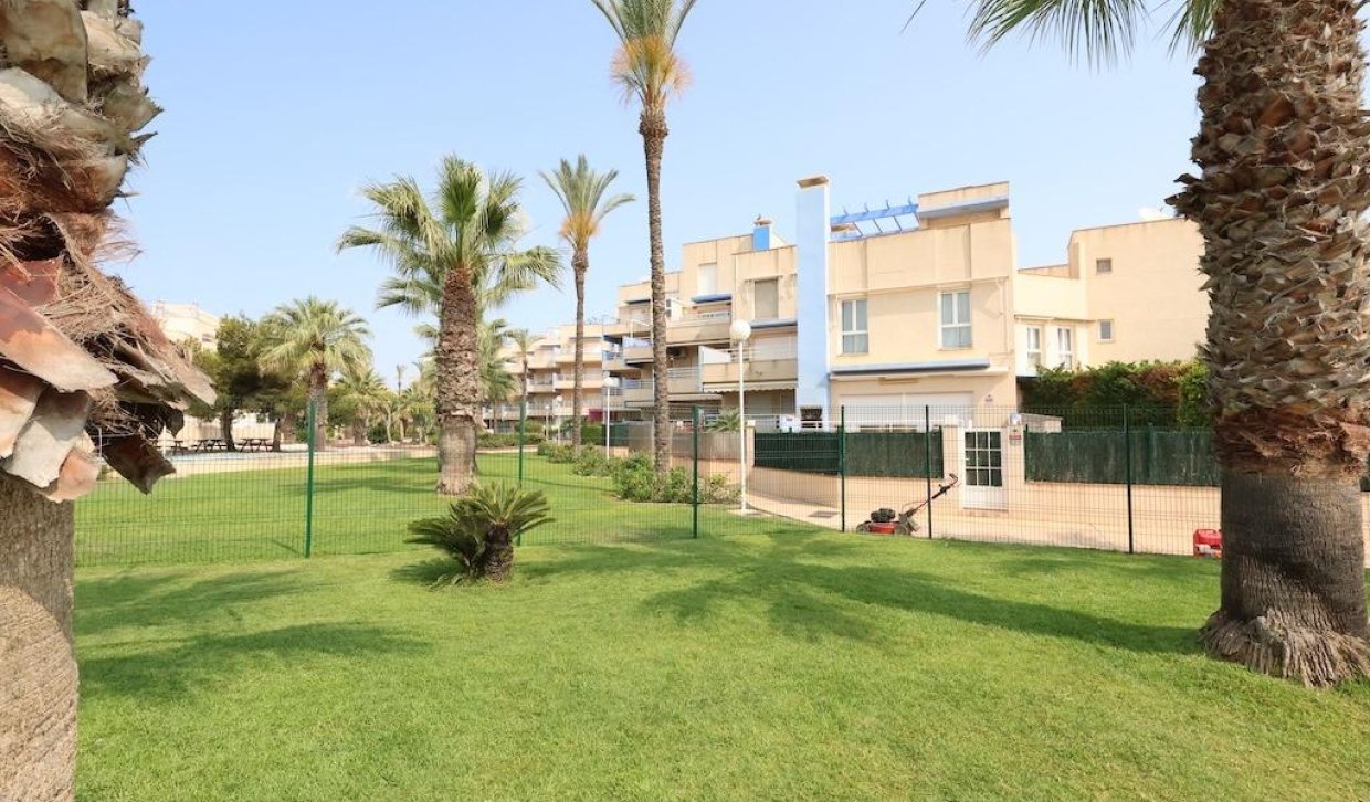 Location - Appartement - Orihuela Costa - Campoamor