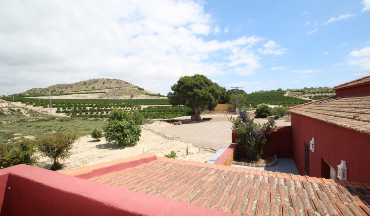 Segunda Mano - Finca rústica - Orihuela - Torremendo