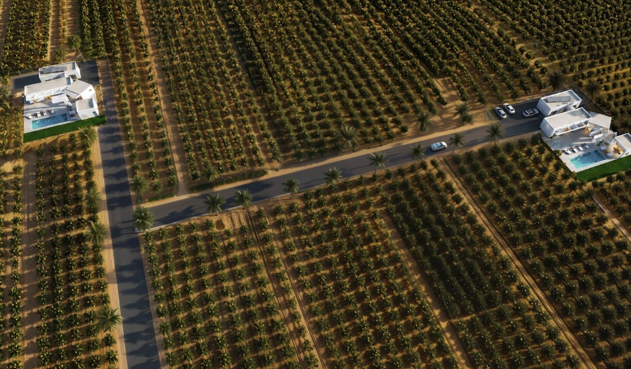 New Build - Villa - Benejúzar - alta