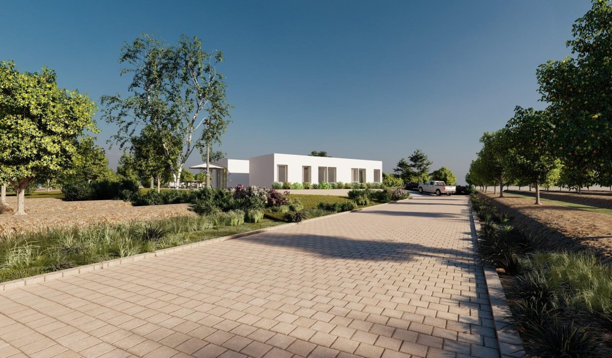 New Build - Villa - Benejúzar - alta