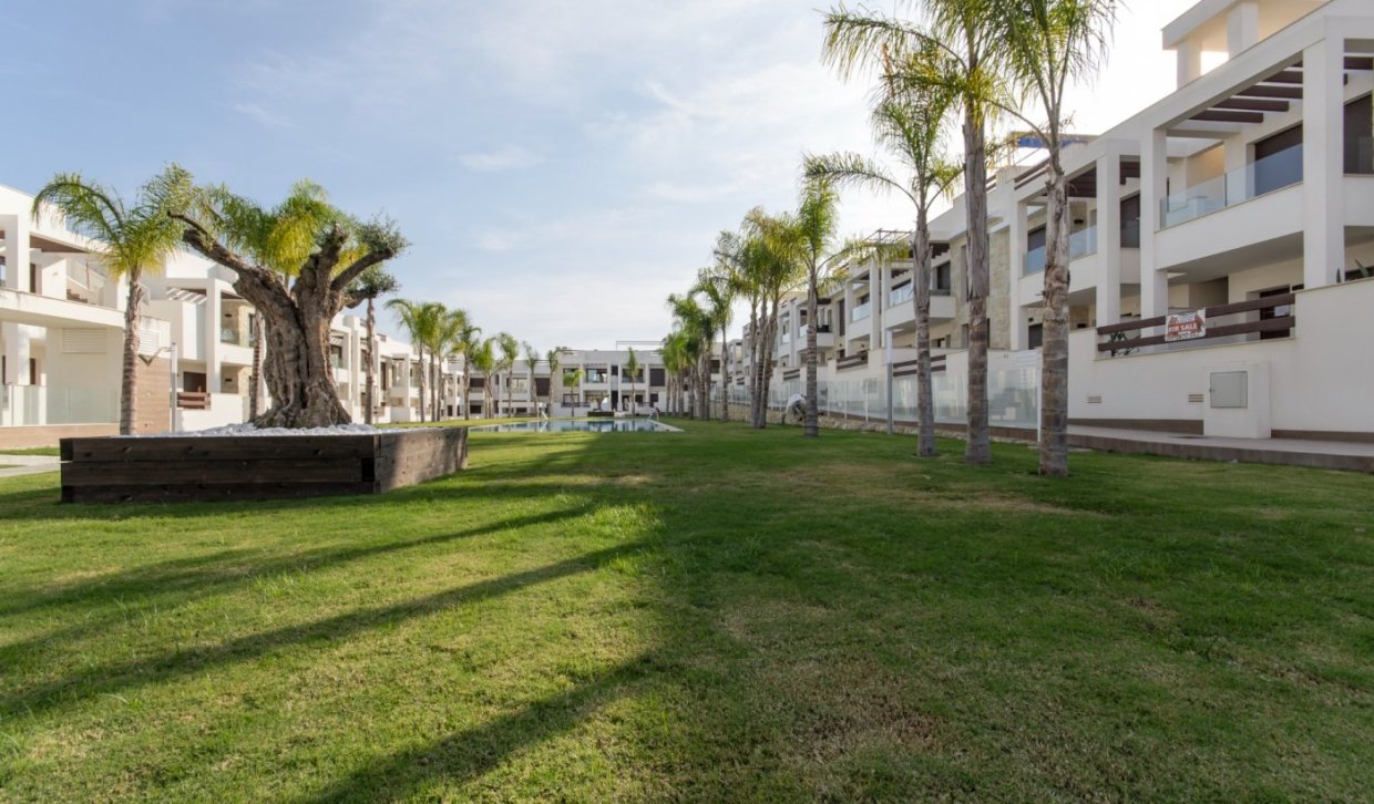 New Build - Bungalow - Torrevieja - Los balcones