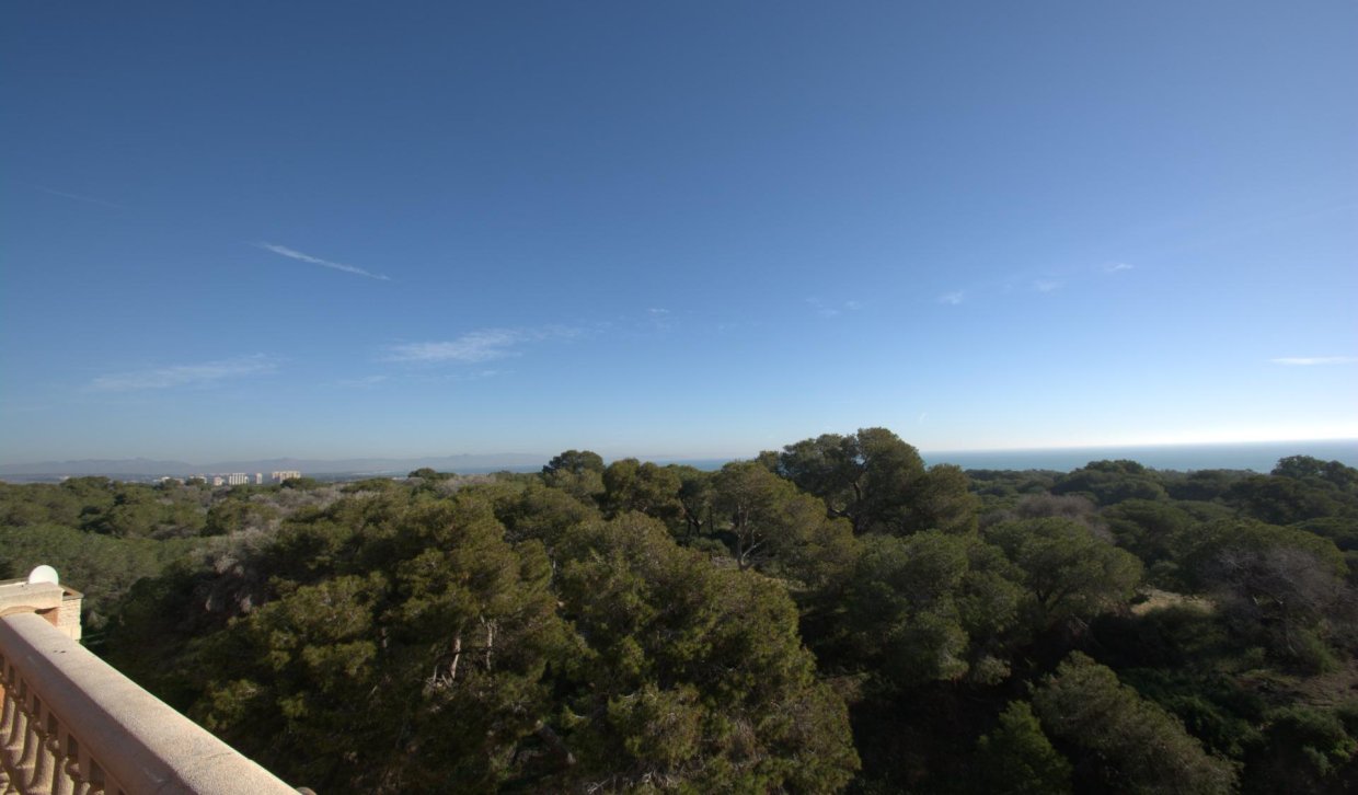 Nouvelle construction - Appartement - Guardamar del Segura - Pueblo