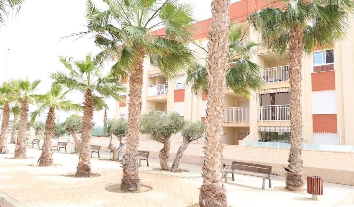 Location - Appartement - Orihuela Costa - Lomas de Cabo Roig