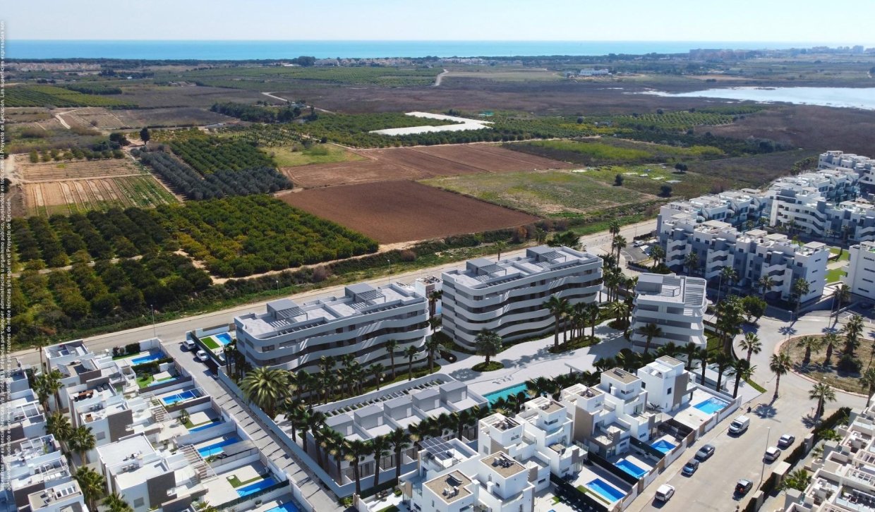 Obra nueva - Apartamento  - Guardamar del Segura - EL RASO