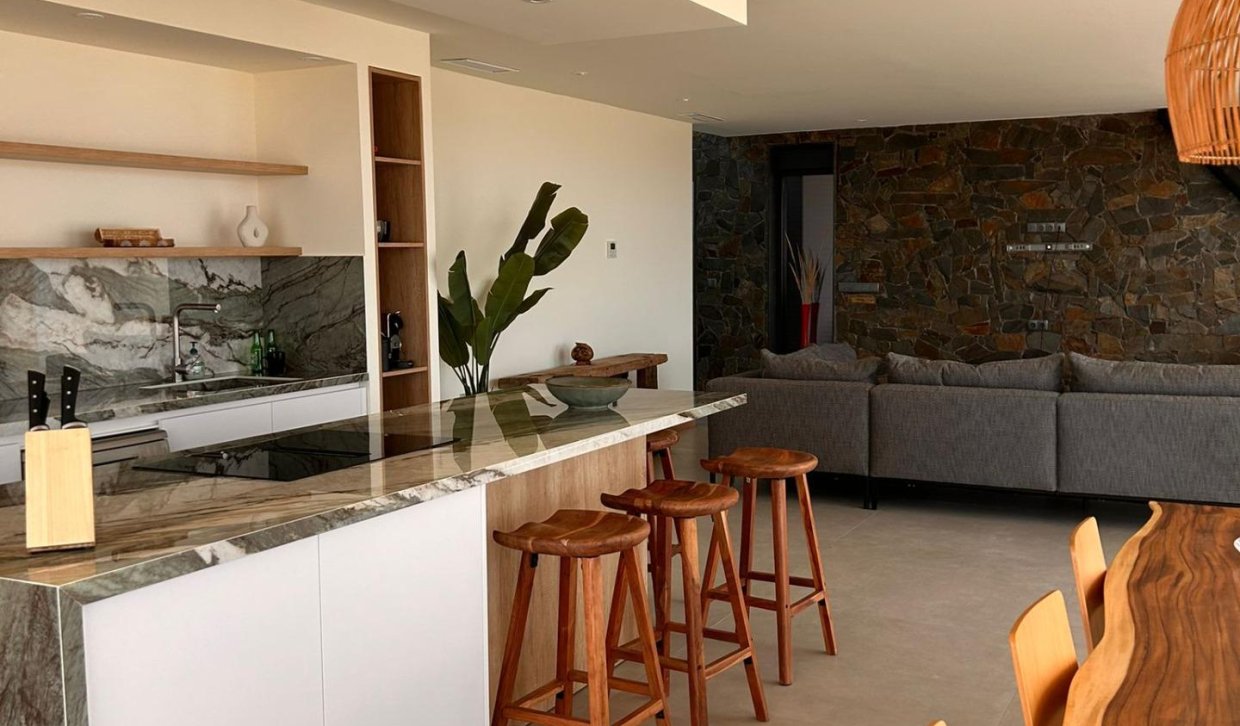 Obra nueva - Villa - Pinoso - Casas Pastor