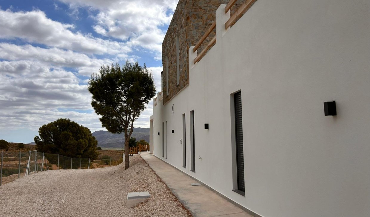 Obra nueva - Villa - Pinoso - Casas Pastor