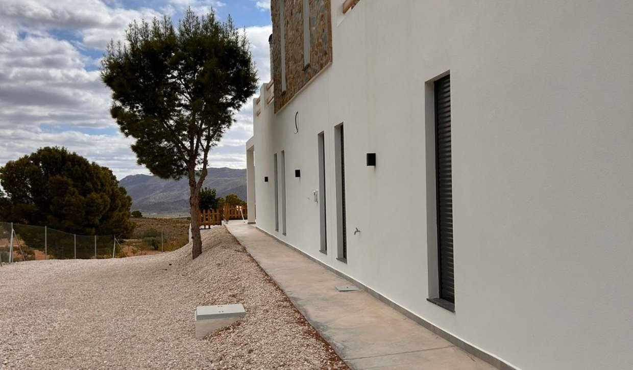 Obra nueva - Villa - Pinoso - Casas Pastor