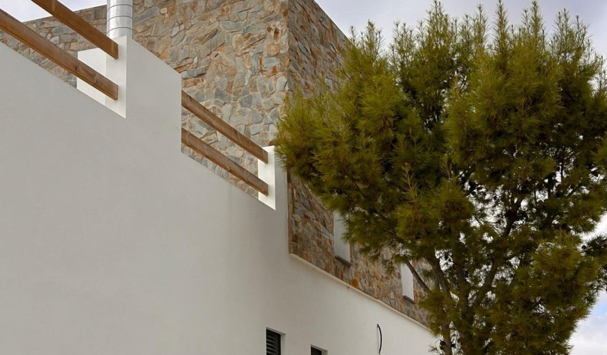 Obra nueva - Villa - Pinoso - Casas Pastor