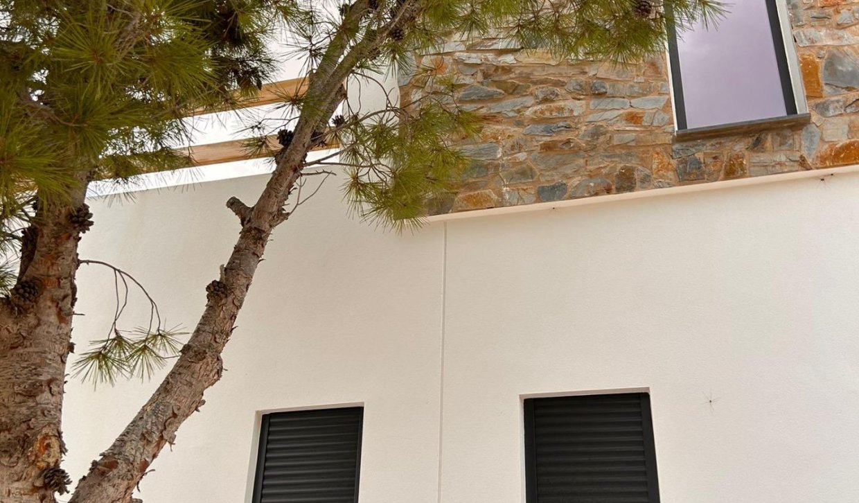 Obra nueva - Villa - Pinoso - Casas Pastor