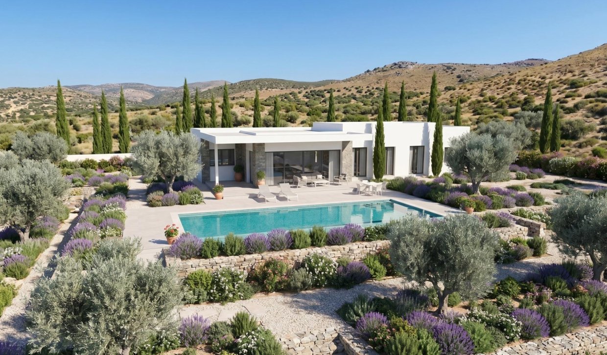 Obra nueva - Villa - Pinoso - Comunidad Valenciana