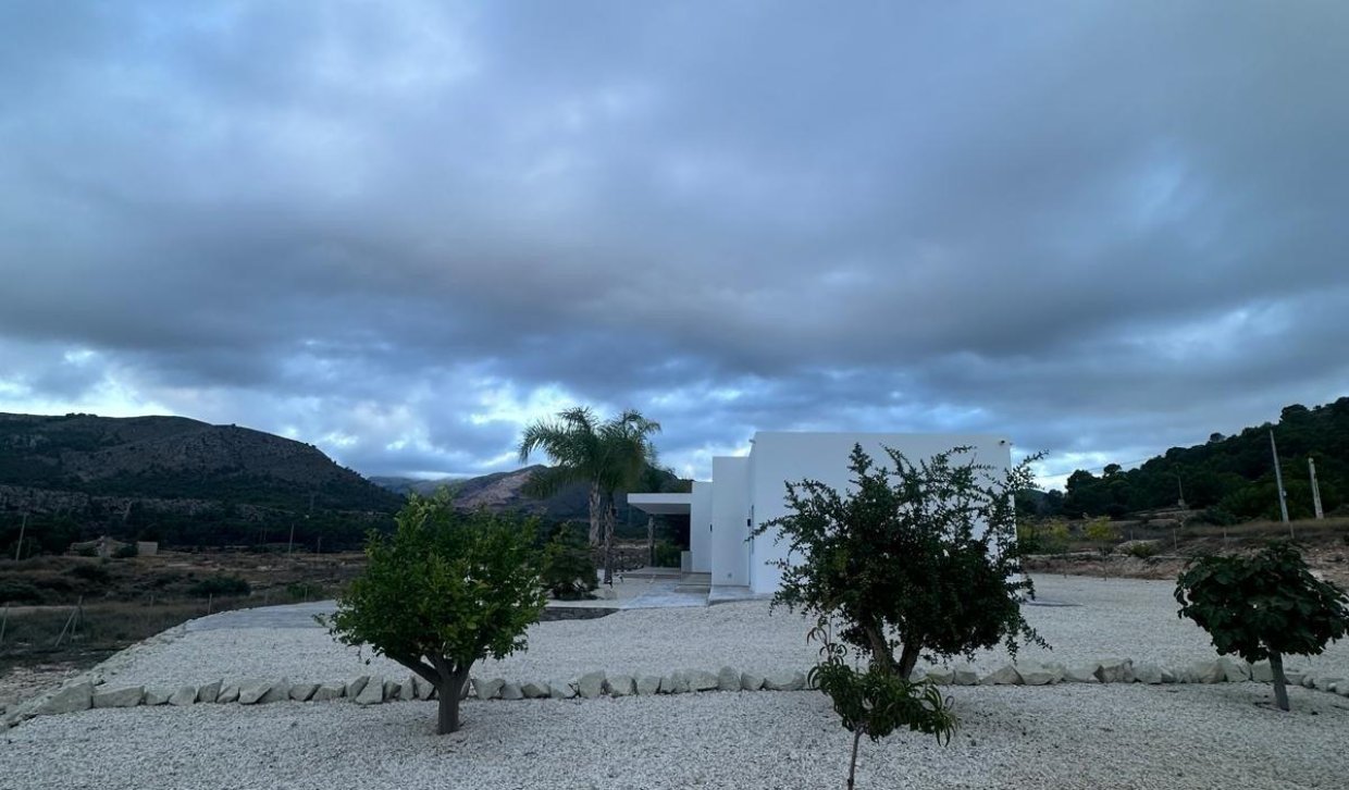 Obra nueva - Villa - Pinoso - Comunidad Valenciana