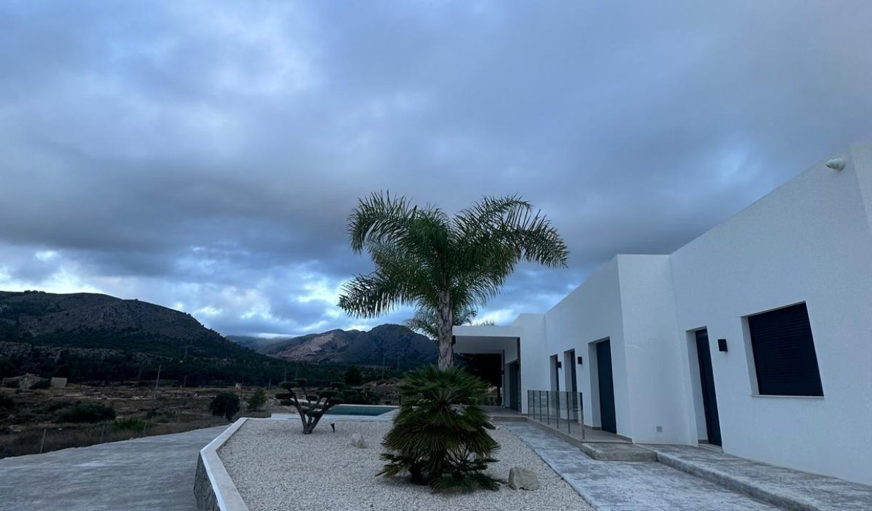 Obra nueva - Villa - Pinoso - Comunidad Valenciana