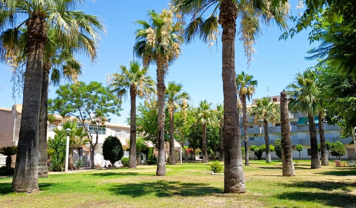 Resale - Bungalow - Orihuela Costa - La Regia