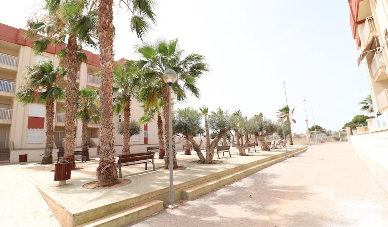 Location - Appartement - Orihuela Costa - Lomas de Cabo Roig