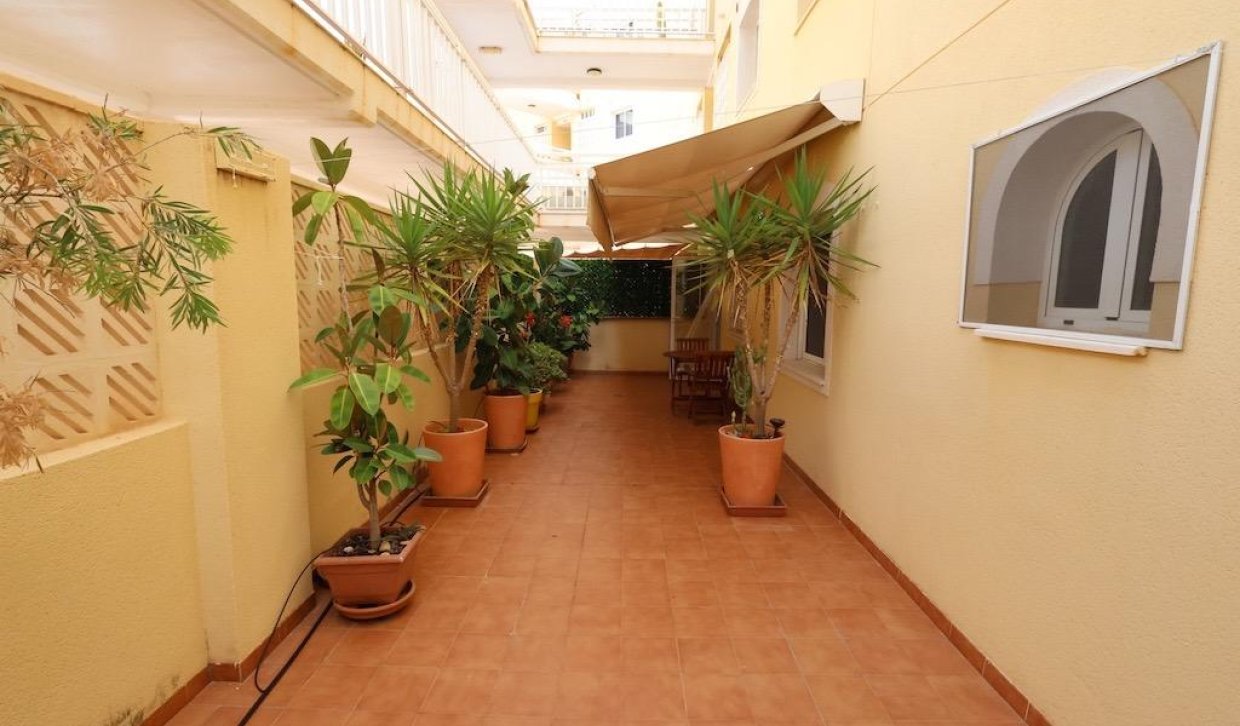 Resale - Apartment  - Orihuela Costa - Campoamor