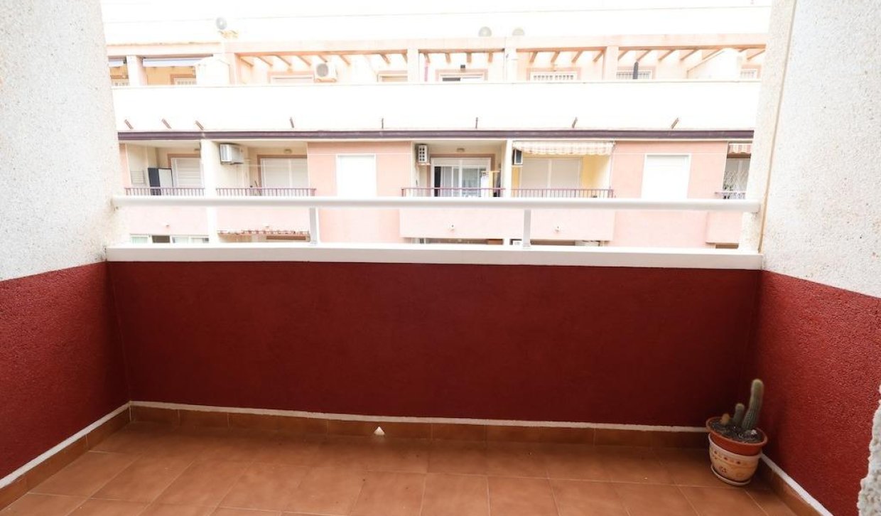 Segunda Mano - Apartamento  - Torrevieja - Parque de las Naciones