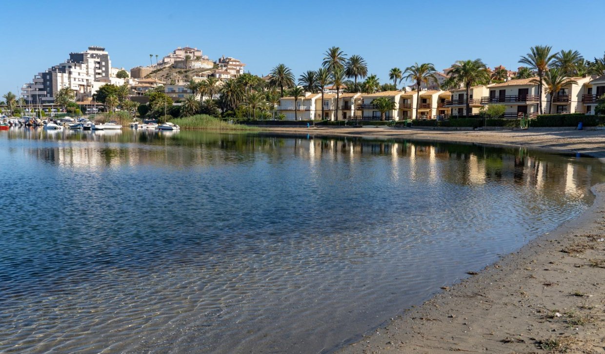 Obra nueva - Bungalow - La Manga Club