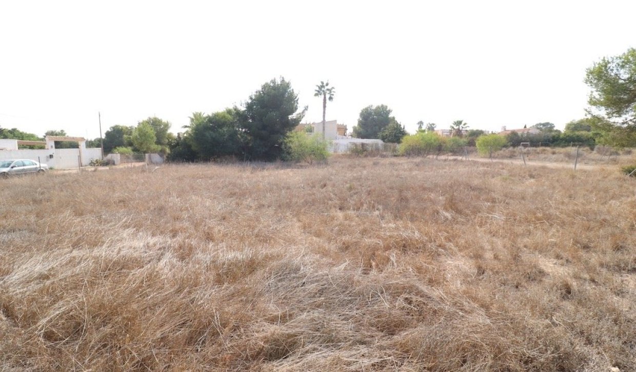 Segunda Mano - Parcela - Orihuela Costa - Lomas de Cabo Roig