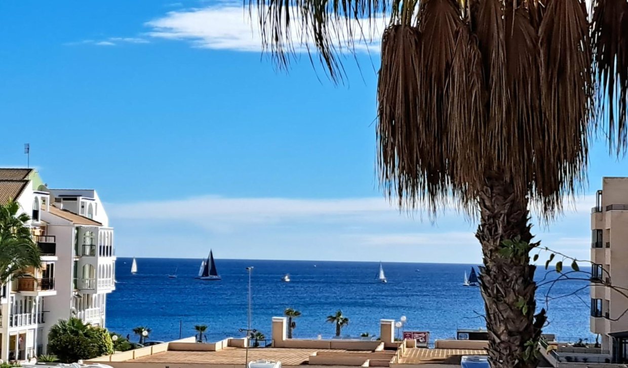 Bestaande woning  - Appartement  - Torrevieja - La veleta