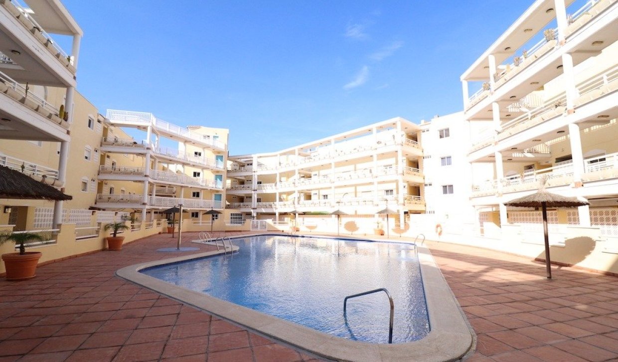 Alquiler a largo plazo - Apartamento - Orihuela Costa - Campoamor