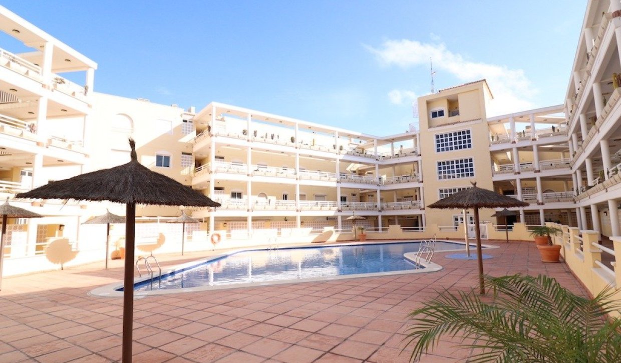 Alquiler a largo plazo - Apartamento - Orihuela Costa - Campoamor