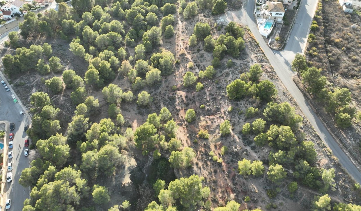 Obra nueva - Villa - Alfas del Pí - Escandinavia